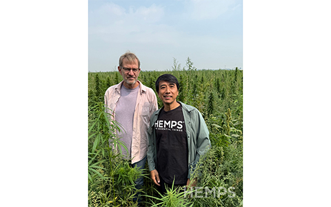 ヘンププロテイン